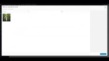 Hybrid Composer - Wordpress - Sections