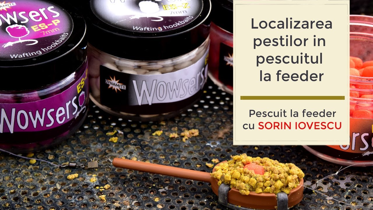 Localizarea pestilor in pescuitul la feeder