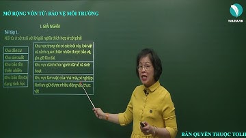 Mở rộng vốn từ: Bảo vệ môi trường - Luyện từ và câu - Tiếng việt 5