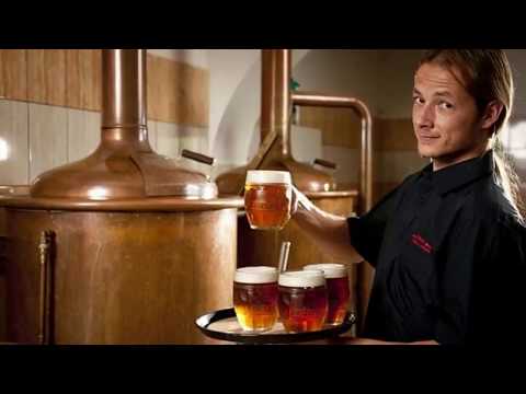 Бизнес план: мини-пивоварни / Business plan: mini breweries.