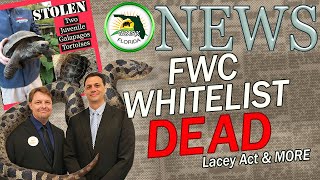 Usark Fl News-Fwc Tag, Lacey Act, Auction, Aitc, Hognose, Stolen Tortoise