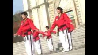 Poomsae Taekwon Dance Taegeuk 1 Jang.mpg