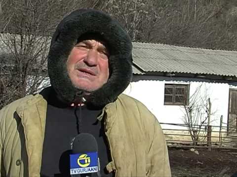 გაეროს შეშფოთება აფრიკული ღორის ჭირზე