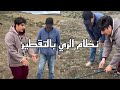 شاهد أخي الفلاح طريقة تركيب نظام الري بالتقطير بطريقة صحيحة وفعالة