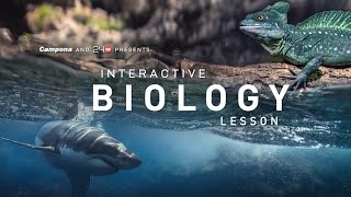 Interactive Biology Lesson (case study)