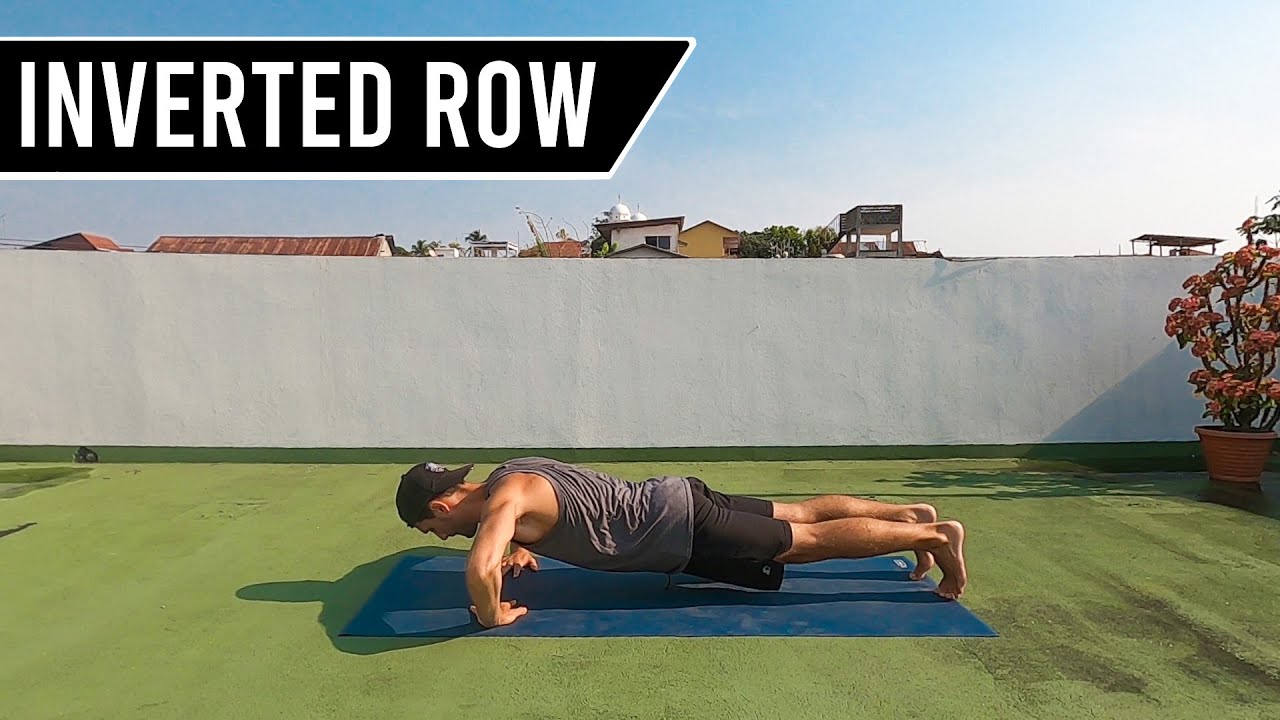 Inverted Row - (Biceps) Body Weight Exercise Tutorials - YouTube