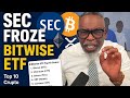 Bitwise!!  Xrp ,Ada,  bitcoin, eth  10 Coin ETF That Shook the SEC #xrp #cryptocurrency #ethereum 