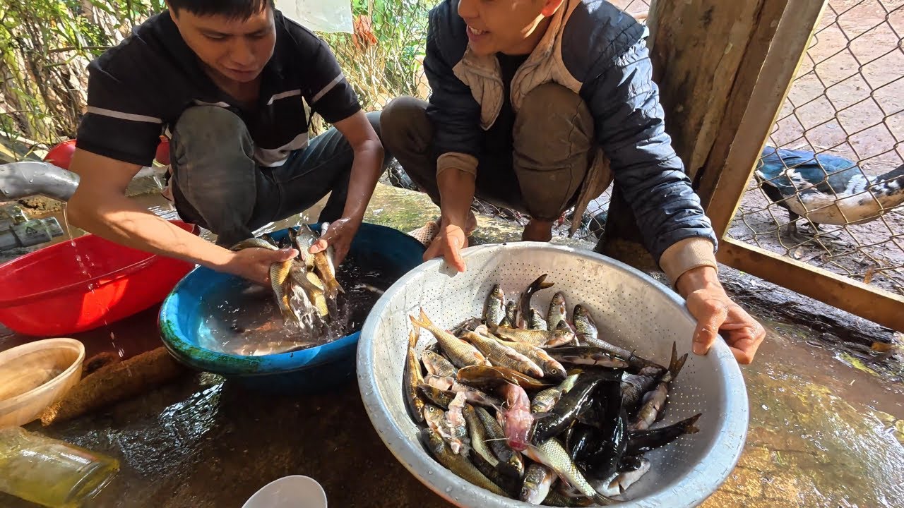 Răng lưới bắt cá trên thượng nguồn săn cá suối & nấu ăn tại chỗ. kiếm ăn mùa lạnh | Nhiệt Đới Vlog