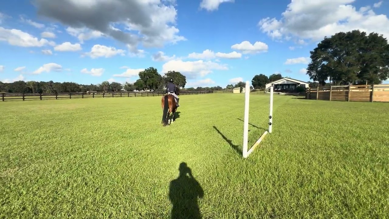 Riding with your seat versus your hands