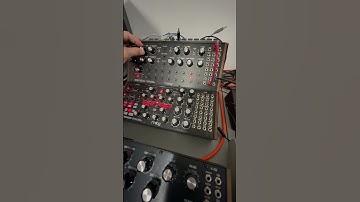 Quick jam session with Moog DFAM #semimodular #electronicmusic #synthjam