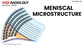 05 - Meniscal Microstructure
