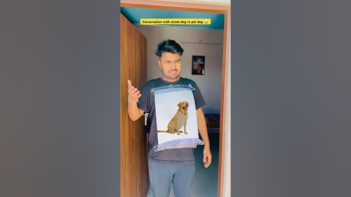 Conversation with street dog vs pet dog 😂🐶|| #shorts #funny #indian #relatable #shortvideo