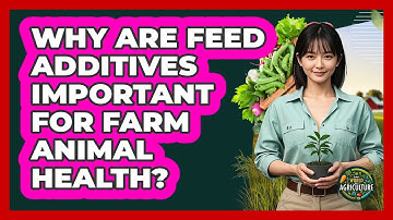 Why Are Feed Additives Important For Farm Animal Health? - The World of Agriculture