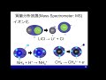 マススペクトル解析の基礎