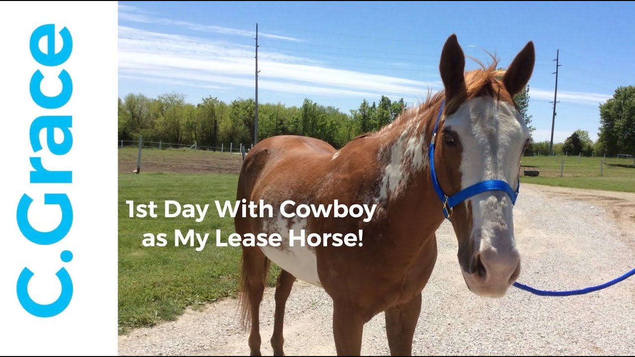 1st Day W/ My New Lease Horse! YouTube