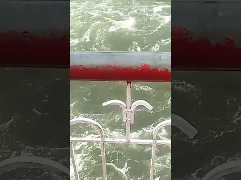 BISALPUR DAM RAJASTHAN 6 GATES OPEN VIEW #song #music #hindisong #bollywood #bollywoodsongs