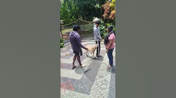 .Vacation with Leo VIRAL VIDEO -PART-2 #funny #shorts