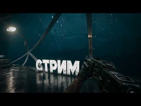 Весёлый пёс live broadcast preview