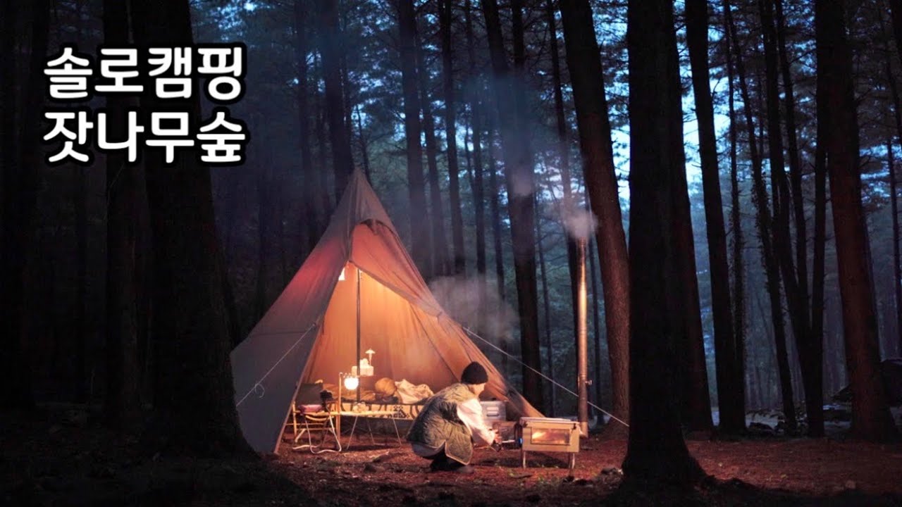 저 먼저 동계캠핑 시작할게요🥶 신비한 잣나무숲에서 화목난로 요리하기｜서커스TC｜팔현캠프