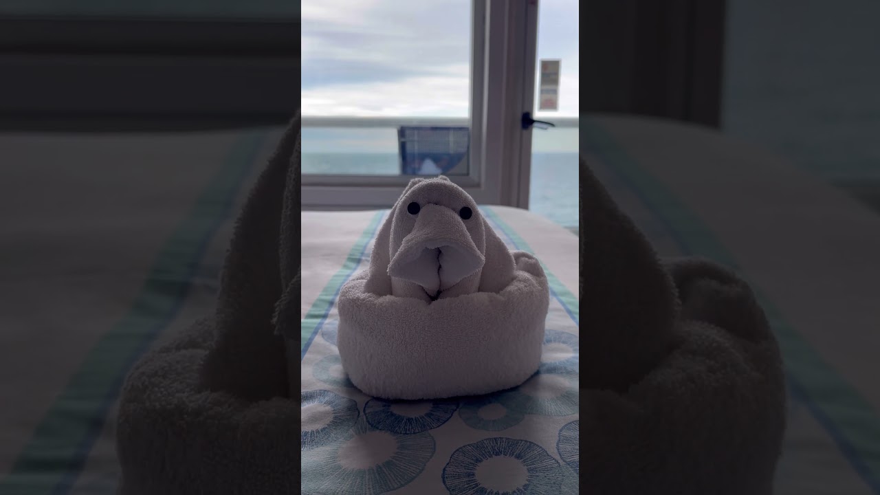 Day 5 towel animal #carnivalsplendor #carnivalcruise #towelanimal