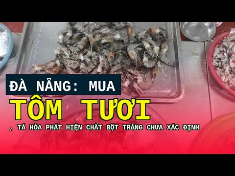 Video Đà Nẵng: Mua tôm tươi, tá hỏa phát hiện chất bột trắng... - youtube