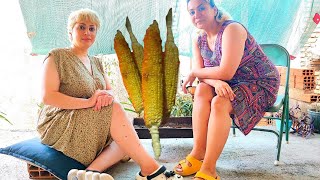 Grilling Corn For The First Time Cozy Village Night Fun