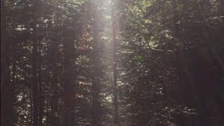 BIBLE SESSION WITH TIM (EPISODE 6)