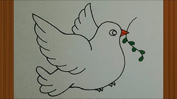 How To Draw Dove with Olive Branch // Dove Drawing Simple