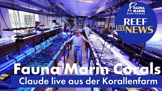 Fauna Marin Reef News Live AquaWiz 5 , Temperatur , Biofilm und neues