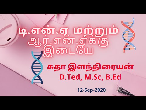 12th Zoology Lesson 5 DNA versus RNA (Session 25)