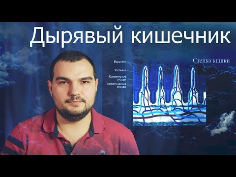 ДЫРЯВЫЙ КИШЕЧНИК КАК ИСТОЧНИК ВСЕХ ПРОБЛЕМ #PSORIK