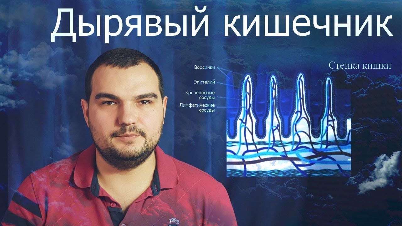 ДЫРЯВЫЙ КИШЕЧНИК КАК ИСТОЧНИК ВСЕХ ПРОБЛЕМ #PSORIK