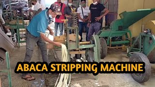 Mobile Abaca Stripping Machine (NARC  VSU). Abaca tuxying. Side trip: VSU strolling.