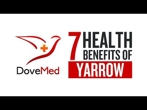 7 Health Benefits