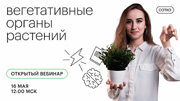 Вегетативные органы растений | ЕГЭ БИОЛОГИЯ 2021 | Онлайн-школа СОТКА