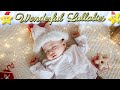 Christmas Lullaby For Babies To Go To Sleep 🎅🏼🎄🎅🏼 Super Relaxing &quot;O Christmas Tree&quot;