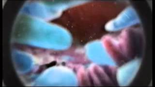 ITV2 Adverts 2009 (2)