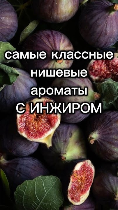 ИНЖИР. Фруктовая свежесть инжира в нишевых ароматах 🍯 #инжир #духи # ...