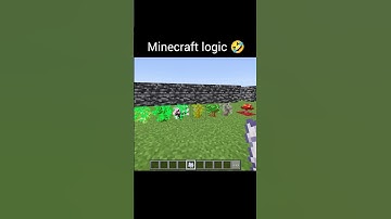 minecraft logic 🤣