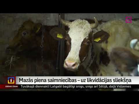 Video: Vai mastīts var apturēt piena ražošanu?