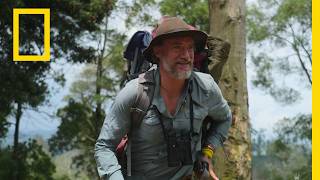Steve Boyes's Journey | Africa Earth's Wild Home | National Geographic Difference Between Nat Geo And Nat Geo Wild