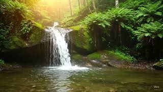 Tranquil Forest Cascade and the relaxing sound of you. Deep Sleep sounds