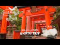 【京都ひとり旅#1】京都伏見稲荷を巡る。京都の夜を1人で堪能