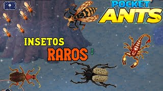 Pocket Ants: Dicas para atrair insetos Raros /Rinoceronte /Bombardeiro /libélula !