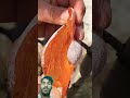 #fruit #fruitcutting #freshly #beautiful #satisfying @SmilingKnittingYarn-nm5jn