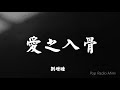 劉增瞳 - 愛之入骨【高音質歌詞MV】【Lyrics】「我遍體鱗傷 還執迷不悟」歌詞視頻Lyrics video | 抖音熱歌 #愛之入骨 #劉增瞳