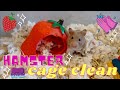 CLEANING MY NEW HAMSTER CAGE🐹