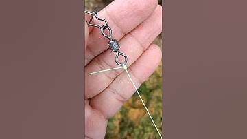 how to tie a improved clinch Knot #fishing #tutorial #clinch #knot #tips #swivel #fishingknot