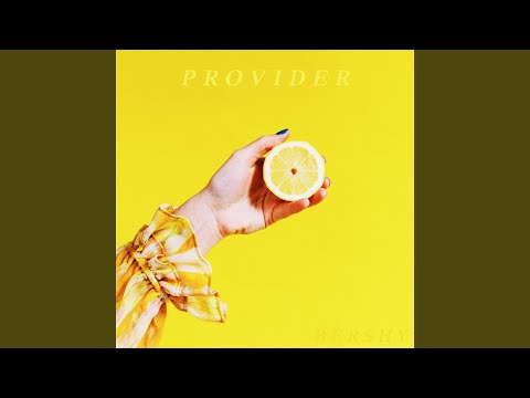 Provider