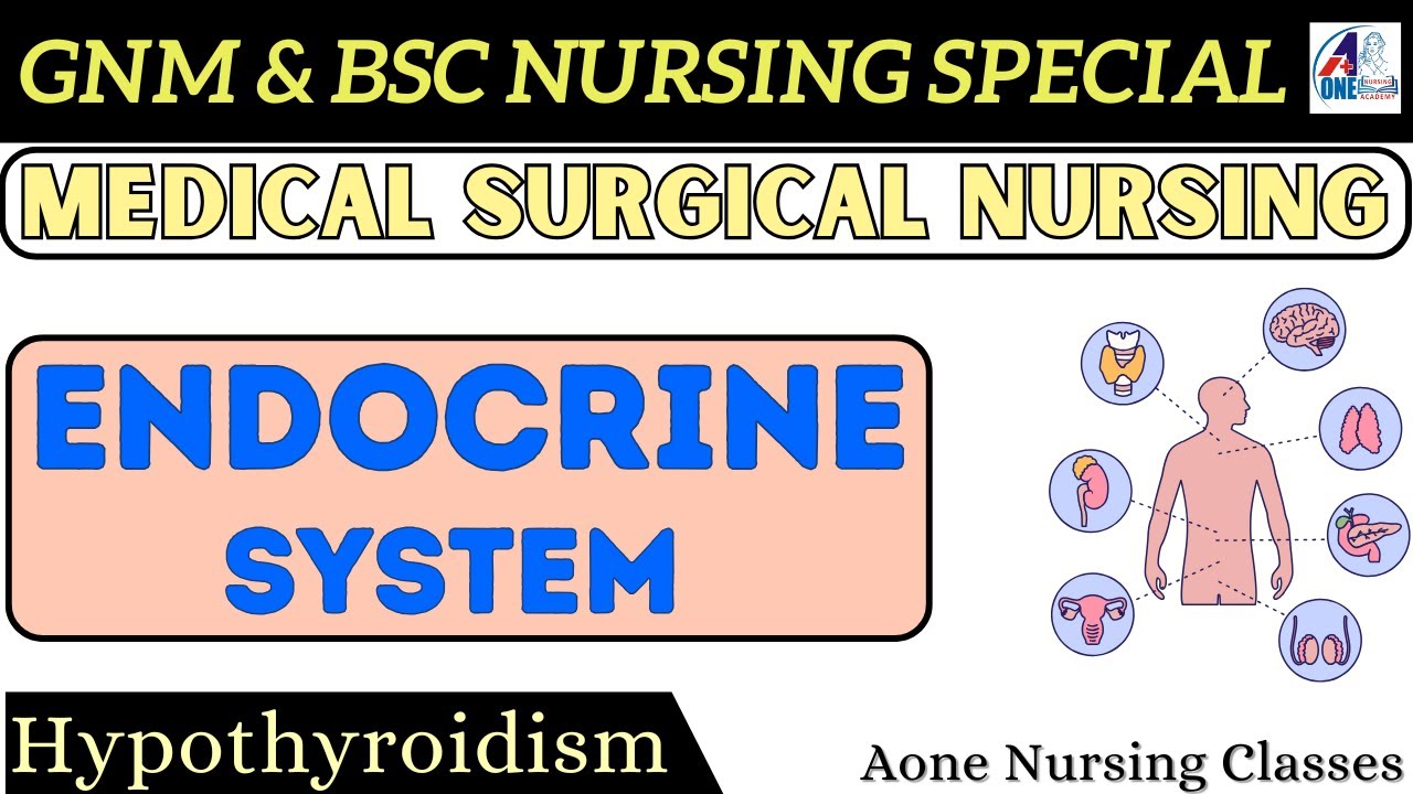 Endocrine system in hindi | glands | functions | locations | structure ...